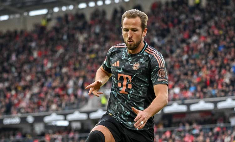 作用不仅体 作用不仅体